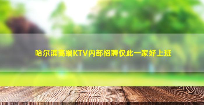 哈尔滨高端KTV内部招聘仅此一家好上班